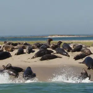 Explore 6 Day Skeleton Coast and Sossusvlei Experience for 6 days with Chameleon Safaris Namibia and discover unforgettable experiences - Photo 3