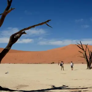 Explore 7 Day Southern Namibia & Sossusvlei Camping Safari for 7 days with Chameleon Safaris Namibia and discover unforgettable experiences - Photo 7