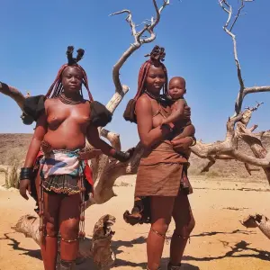 Explore 7 Day Namibian Highlights Accommodated Safari for 7 days with Chameleon Safaris Namibia and discover unforgettable experiences - Photo 6