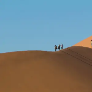 Explore 4 Day Swakopmund & Sossusvlei Accommodated Adventure for 4 days with Chameleon Safaris Namibia and discover unforgettable experiences - Photo 6