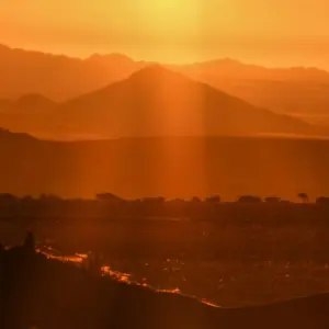 Explore 6 Day Dunes & Wildlife Accommodated Safari for 6 days with Chameleon Safaris Namibia and discover unforgettable experiences - Photo 5