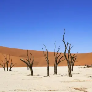 Explore 3 Day Sossusvlei Express Accommodated Safari for 3 days with Chameleon Safaris Namibia and discover unforgettable experiences - Photo 4