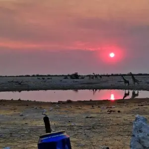 Explore 3 Day Etosha Budget Camping Safari for 3 days with Chameleon Safaris Namibia and discover unforgettable experiences - Photo 2