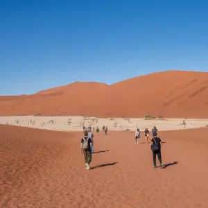 Explore 7 Day Taste Of Namibia Accommodated Safari for 7 days with Chameleon Safaris Namibia and discover unforgettable experiences - Photo 4