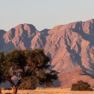 Explore 6 Day Skeleton Coast and Sossusvlei Experience for 6 days with Chameleon Safaris Namibia and discover unforgettable experiences - Photo 5