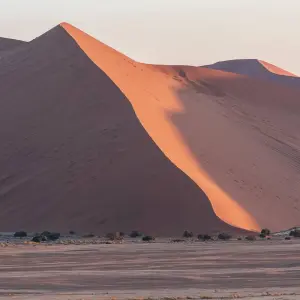 Explore 7 Day Taste Of Namibia Accommodated Safari for 7 days with Chameleon Safaris Namibia and discover unforgettable experiences - Photo 5