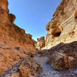 Explore 6 Day Skeleton Coast and Sossusvlei Experience for 6 days with Chameleon Safaris Namibia and discover unforgettable experiences - Photo 6