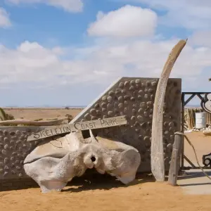 Explore 7 Day Northern Namibia & Skeleton Coast Camping Safari for 7 days with Chameleon Safaris Namibia and discover unforgettable experiences - Photo 4