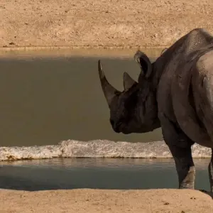 Explore 7 Day Northern Namibia & Skeleton Coast Camping Safari for 7 days with Chameleon Safaris Namibia and discover unforgettable experiences - Photo 5