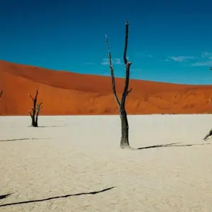 Explore 3 Day Sossusvlei Budget Safari (Windhoek-Swakop) for 3 days with Chameleon Safaris Namibia and discover unforgettable experiences - Photo 2