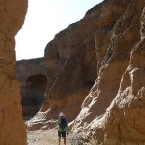 Explore 3 Day Sossusvlei Budget Safari (Windhoek-Swakop) for 3 days with Chameleon Safaris Namibia and discover unforgettable experiences - Photo 3