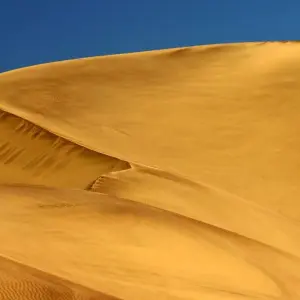 Explore 6 Day Skeleton Coast and Sossusvlei Experience for 6 days with Chameleon Safaris Namibia and discover unforgettable experiences - Photo 9