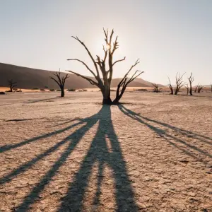 Explore 3 Day Sossusvlei Express Accommodated Safari for 3 days with Chameleon Safaris Namibia and discover unforgettable experiences - Photo 10