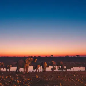 Explore 7 Day Northern Namibia & Skeleton Coast Camping Safari for 7 days with Chameleon Safaris Namibia and discover unforgettable experiences - Photo 8