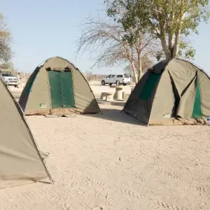 Explore 3 Day Etosha Budget Camping Safari for 3 days with Chameleon Safaris Namibia and discover unforgettable experiences - Photo 9