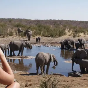 Explore 12 Day Classic Namibia for 12 days with Chameleon Safaris Namibia and discover unforgettable experiences - Photo 10