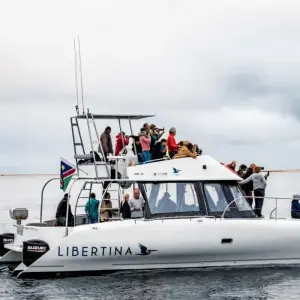 Explore 6 Day Skeleton Coast and Sossusvlei Experience for 6 days with Chameleon Safaris Namibia and discover unforgettable experiences - Photo 11