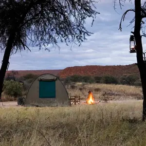 Explore 7 Day Northern Namibia & Skeleton Coast Camping Safari for 7 days with Chameleon Safaris Namibia and discover unforgettable experiences - Photo 10