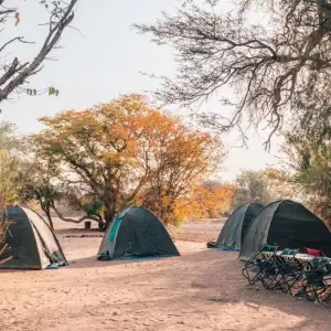 Explore 16 Day Etosha, Himba, Cape Cross and Surfing Adventure for 16 days with Chameleon Safaris Namibia and discover unforgettable experiences - Photo 7