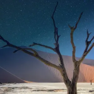 Explore 3 Day Sossusvlei Budget Safari (Windhoek-Swakop) for 3 days with Chameleon Safaris Namibia and discover unforgettable experiences - Photo 9