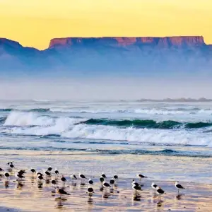 Explore Pinotage - 17 days connoisseur trip for 17 days with Chamaeleon and discover unforgettable experiences - Photo 2