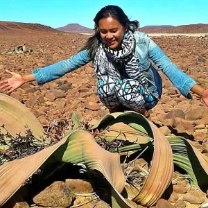 Explore 9 Day Etosha, Skeleton Coast & Sossusvlei Camping & Accommodated Safari for 9 days with Chameleon Safaris Namibia and discover unforgettable experiences - Photo 11