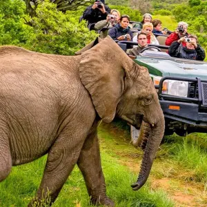 Explore Pinotage - 17 days connoisseur trip for 17 days with Chamaeleon and discover unforgettable experiences - Photo 4