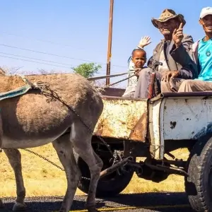 Explore Mahango - 15 days Gourmet Tour for 15 days with Chamaeleon and discover unforgettable experiences - Photo 3