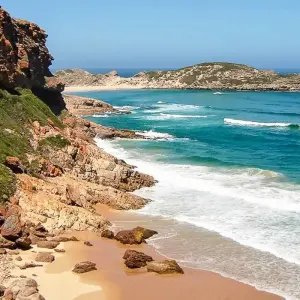 Explore Pinotage - 17 days connoisseur trip for 17 days with Chamaeleon and discover unforgettable experiences - Photo 5
