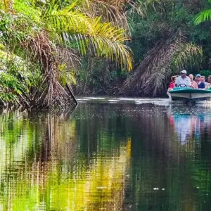 Explore Volcano Delight (16 days) for 16 days with Chamaeleon and discover unforgettable experiences - Photo 5
