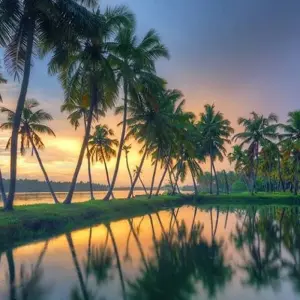 Explore Taste of Kerala - 9 Days for 9 days with Chauffeurs In India and discover unforgettable experiences - Photo 8