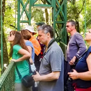 Explore Volcano Delight (16 days) for 16 days with Chamaeleon and discover unforgettable experiences - Photo 6