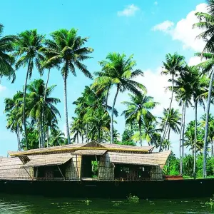 Explore Taste of Kerala - 9 Days for 9 days with Chauffeurs In India and discover unforgettable experiences - Photo 9