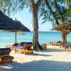 Explore Serengeti Adventure for 15 days with Chamaeleon and discover unforgettable experiences - Photo 5