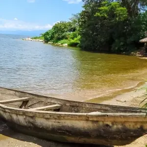 Explore Gorilla Adventure for 15 days with Chamaeleon and discover unforgettable experiences - Photo 6