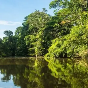 Explore Volcano Delight (16 days) for 16 days with Chamaeleon and discover unforgettable experiences - Photo 7