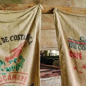 Explore Tortuguero Adventure Trip (14 days) for 14 days with Chamaeleon and discover unforgettable experiences - Photo 4