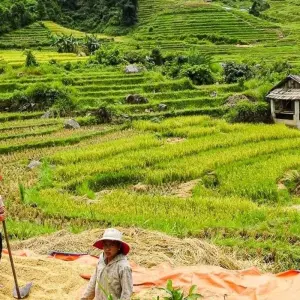 Explore Sapa Experience for 16 days with Chamaeleon and discover unforgettable experiences - Photo 6
