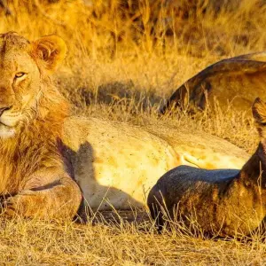 Explore Tons of goosebumps - 18 days of adventure travel for 18 days with Chamaeleon and discover unforgettable experiences - Photo 2