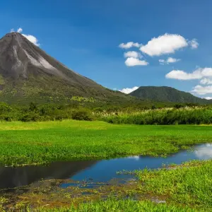 Explore Tortuguero Adventure Trip (14 days) for 14 days with Chamaeleon and discover unforgettable experiences - Photo 5