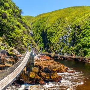 Explore Pinotage - 17 days connoisseur trip for 17 days with Chamaeleon and discover unforgettable experiences - Photo 11