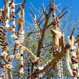 Explore Mahango - 15 days Gourmet Tour for 15 days with Chamaeleon and discover unforgettable experiences - Photo 9