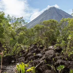 Explore Tortuguero Adventure Trip (14 days) for 14 days with Chamaeleon and discover unforgettable experiences - Photo 6