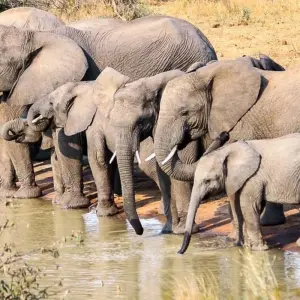 Explore Garden Route Experience for 14 days with Chamaeleon and discover unforgettable experiences - Photo 5