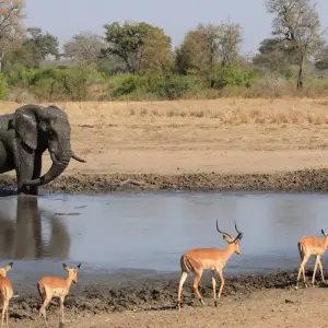 Explore Big Five - 18 day adventure trip for 18 days with Chamaeleon and discover unforgettable experiences - Photo 2