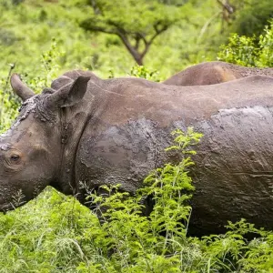 Explore Tons of goosebumps - 18 days of adventure travel for 18 days with Chamaeleon and discover unforgettable experiences - Photo 4