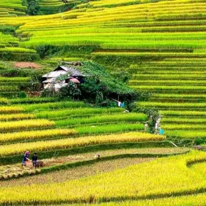 Explore Sapa Experience for 16 days with Chamaeleon and discover unforgettable experiences - Photo 8