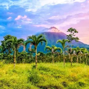 Explore Volcano Delight (16 days) for 16 days with Chamaeleon and discover unforgettable experiences - Photo 11