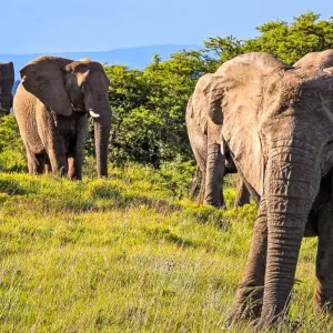 Explore City, land, sea - 15-day adventure trip for 15 days with Chamaeleon and discover unforgettable experiences - Photo 4