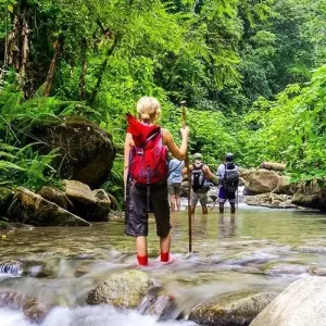 Explore Tortuguero Adventure Trip (14 days) for 14 days with Chamaeleon and discover unforgettable experiences - Photo 8